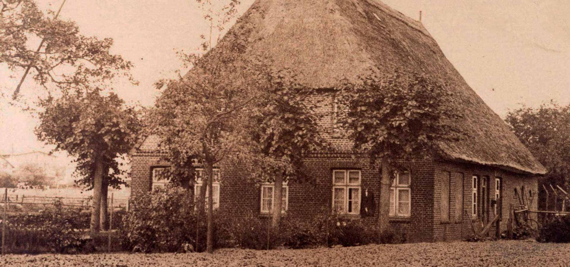 Rhabarberkate_old-1-min