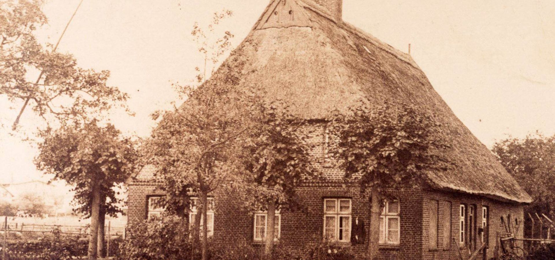 Rhabarberkate_old 1-min